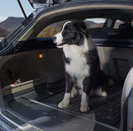 Pet Travel & Boot Organisers