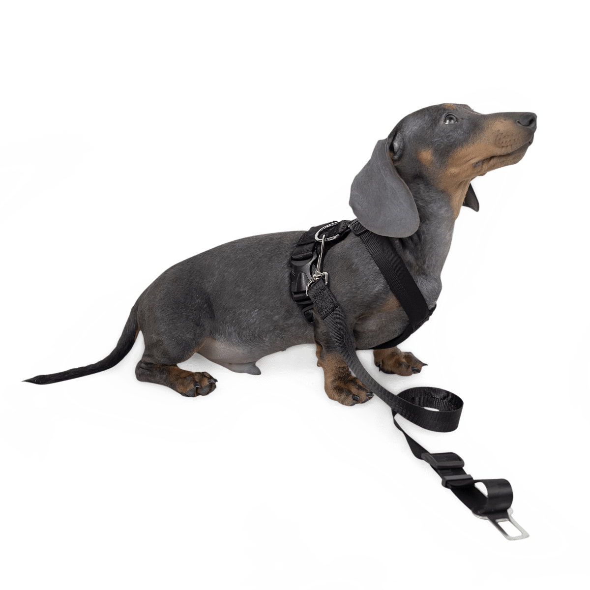 Dog Strap Harness - Green Flag Shop