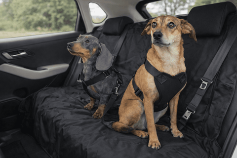 Dog Strap Harness - Green Flag Shop