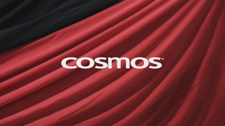 Cosmos Indoor Car Cover