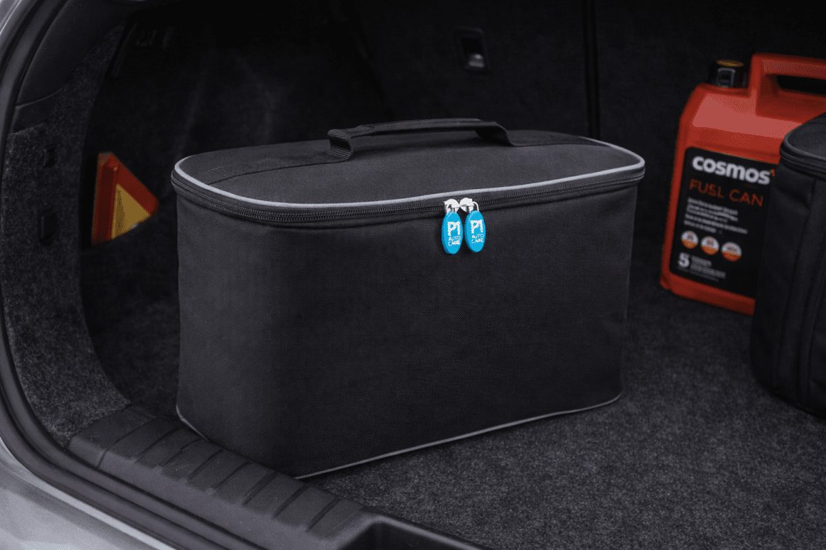 Travel Cool Bag - Green Flag Shop