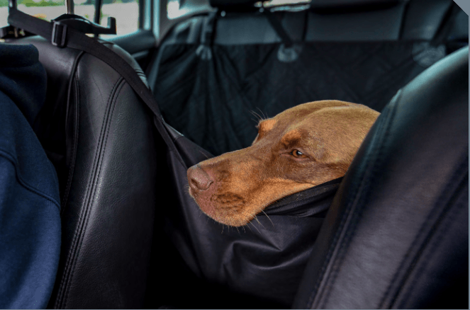 Dog Car Seat Cover Hammock - Green Flag Shop